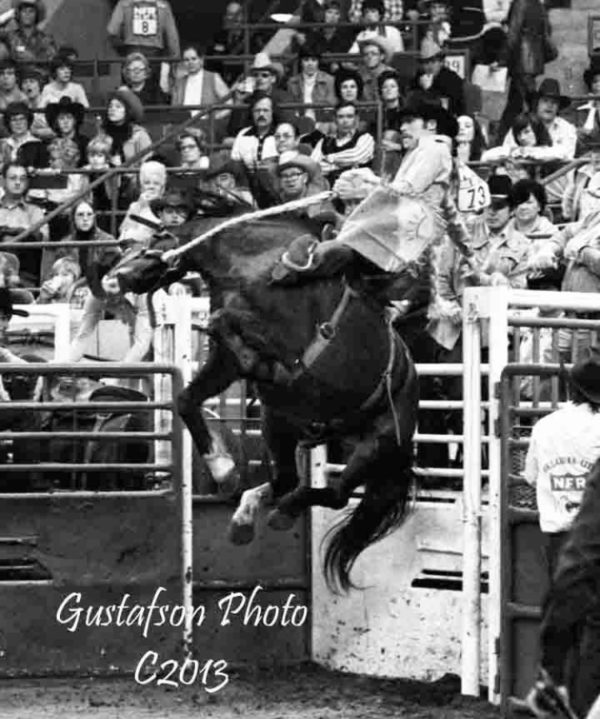 Brown, Bobby - Inductee of the Texas Rodeo Cowboy Hall of Fame