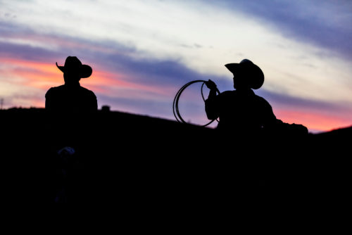 silhouettes of cowboys